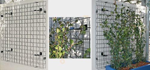 "зеленая стена" листва - VERTIGREEN - Tournesol SITEWORKS - для интерьера / для наружного применения / модульная