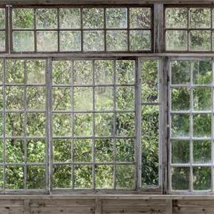 Современный обои - GREENHOUSE - Mr Perswall - природный мотив / многоцветный / набивной