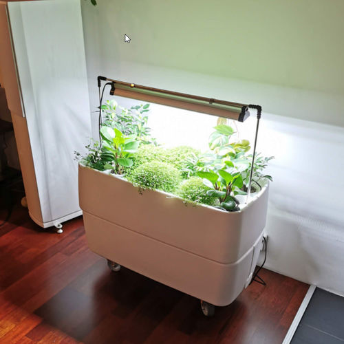 Комплект для «зеленой» стены со встроенным поливом - HYDROPONIC - Supragarden