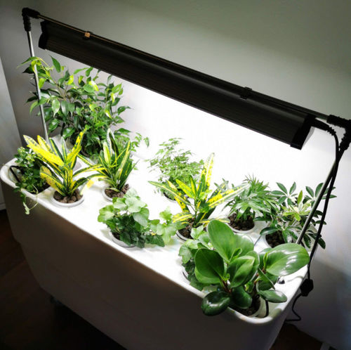 Светильник для выращивания - GROW LIGHT - Supragarden - подвесной / видимый / LED