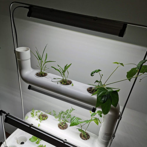 Светильник для выращивания - GROW LIGHT 6400K - Supragarden - подвесной / видимый / LED