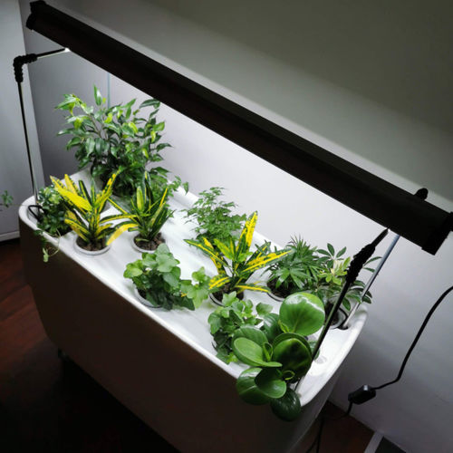 Светильник для выращивания - LONG GROW LIGHT - Supragarden - подвесной / видимый / LED