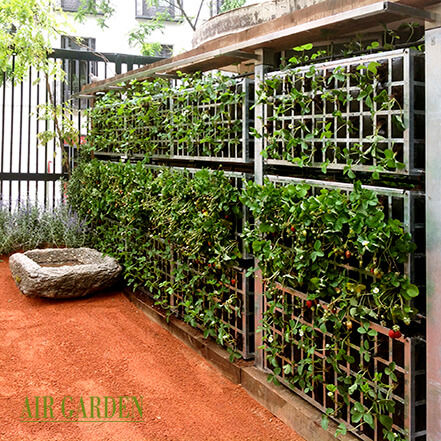 Трельяж для зеленой стены - AG3 POSTMUR-POSTDIV - AIR GARDEN - из окрашенного металла