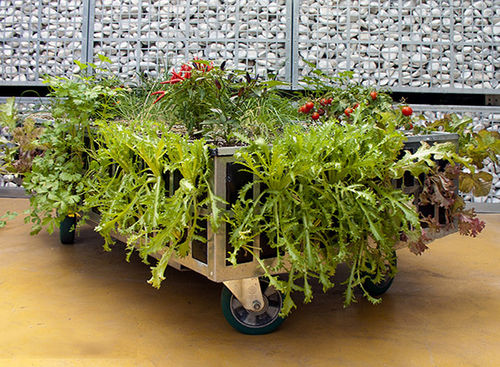 Кадка для садовых растений из металла - AG ECO HUERTOS - AIR GARDEN - прямоугольная / с колесами / современная