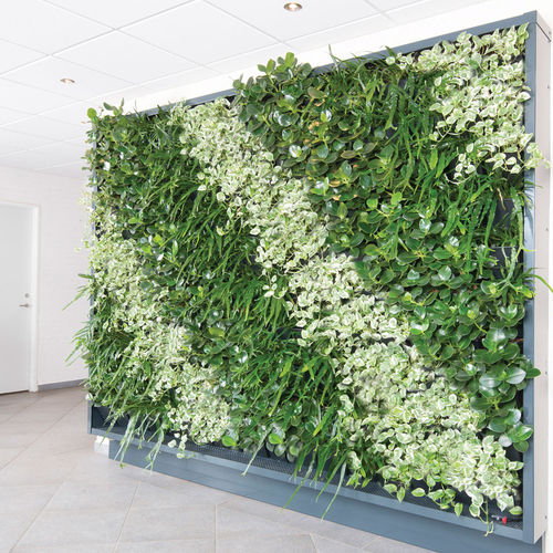 Стабилизированная "зеленая стена" - Natural Greenwalls - из живых растений / натуральная / для интерьера
