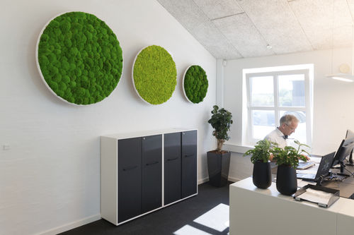 Стабилизированная живая изгородь - Natural Greenwalls - мох / для интерьера / из модульных панелей