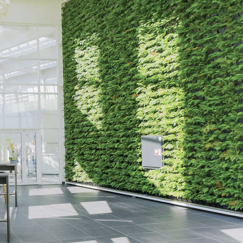 Стабилизированная "зеленая стена" - Natural Greenwalls - из живых растений / из модульных панелей / натуральная
