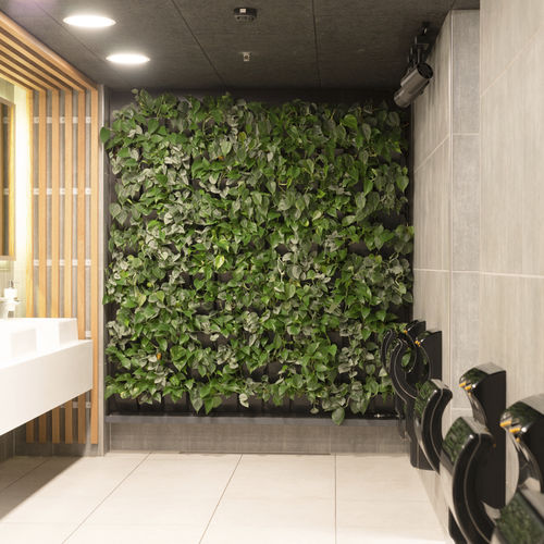 Стабилизированная "зеленая стена" - CINEMAXX - Natural Greenwalls - из живых растений / натуральная / для интерьера