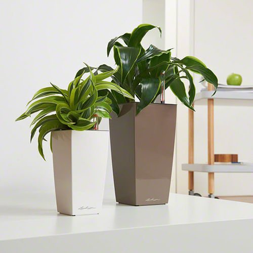 Кадка для садовых растений из пластика - MAXI-CUBI - Gover Horticulture LLC - трапециевидная / современная / для профессионального использования