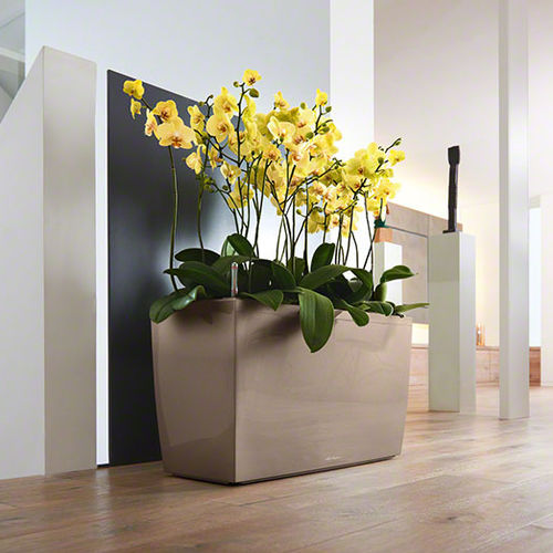 Кадка для садовых растений из пластика - CARARO - Gover Horticulture LLC - прямоугольная / современная / для профессионального использования