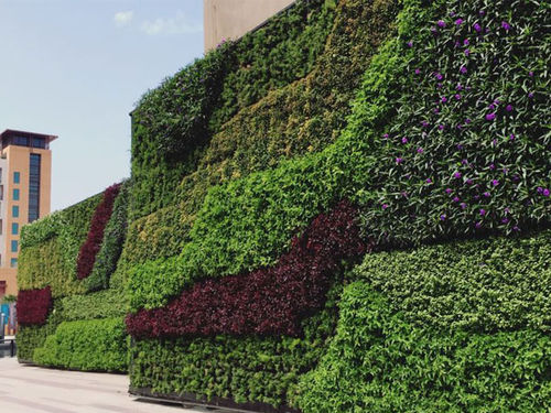 "зеленая стена" из живых растений - Gover Horticulture LLC - на заказ / для интерьера / для наружного применения