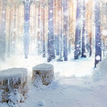 Снежная комната для сауны - FOREST - TechnoAlpin - для оздоровительного центра / для гостиницы