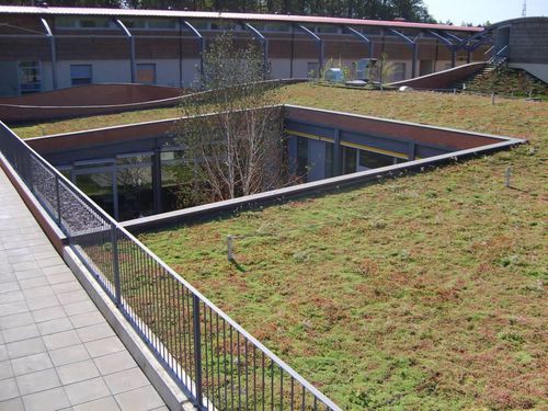 Экстенсивная "зеленая крыша" - SEDUM ROOFS - hedera screens - для плоской кровли / герметичная