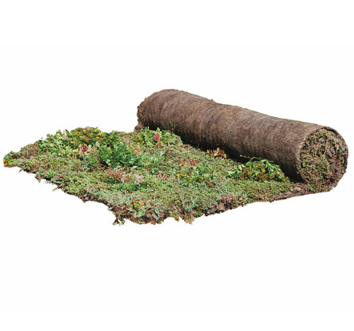 "зеленая крыша" для террасы на крыше - SEDUM-MIX BLANKET - Urbanscape - в рулонах / дренажная / для регулирования дождевого стока