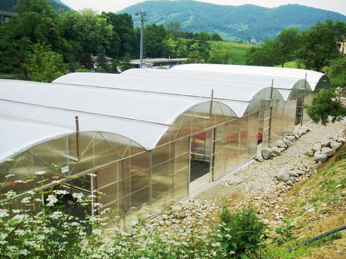 Теплица для профессионального использования - HM - Agrimec srl - для садоводства / промышленная / с одним сводом
