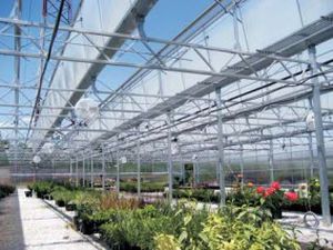 Ферма из стали - EZ-UP DIRECT - Ludy Greenhouse Manufacturing Corporation - квадратная / для организации мероприятий