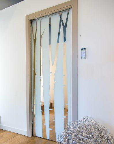 Отделка дверей из стекла - Premium Sliding Doors - по индивидуальному заказу