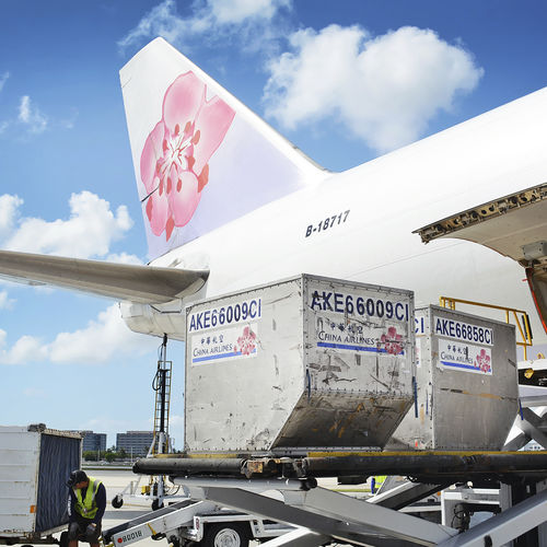 Рабочая подъемная платформа - AIR CARGO - Dynalserg - для технического обслуживания / для стройки / для профессионального использования