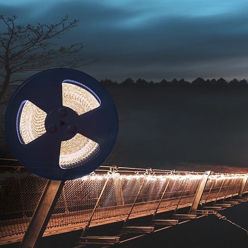 Осветительная лента LED - DS860-24V-10MM  - COLORS LIGHTING - IP20 / IP65 / IP67