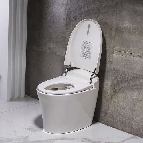 Умный унитаз - TA-825DF - Zhejiang Tejieer intelligent sanitary ware co.ltd - напольный / из керамики / для профессионального использования