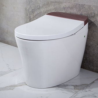 Умный унитаз - TA-823ZA - Zhejiang Tejieer intelligent sanitary ware co.ltd - напольный / из керамики / для профессионального использования