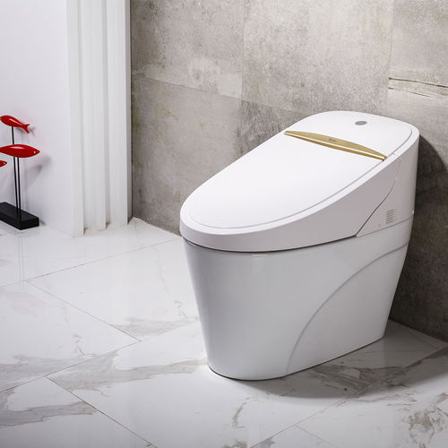 Умный унитаз - TA-550ZA - Zhejiang Tejieer intelligent sanitary ware co.ltd - напольный / из керамики / для профессионального использования