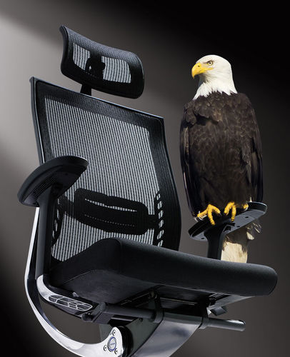 Современное кресло для офиса - ABANT - Flekssit Office Furniture - из алюминия / эргономичное / регулируемое