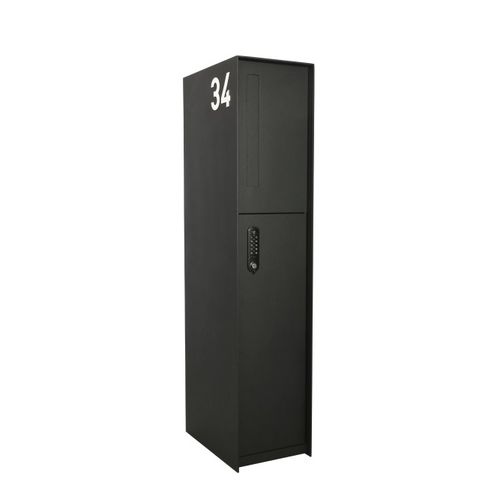 Ящик для посылок на ножке - FENIX FRONT - eSafe - индивидуальный / с кодом