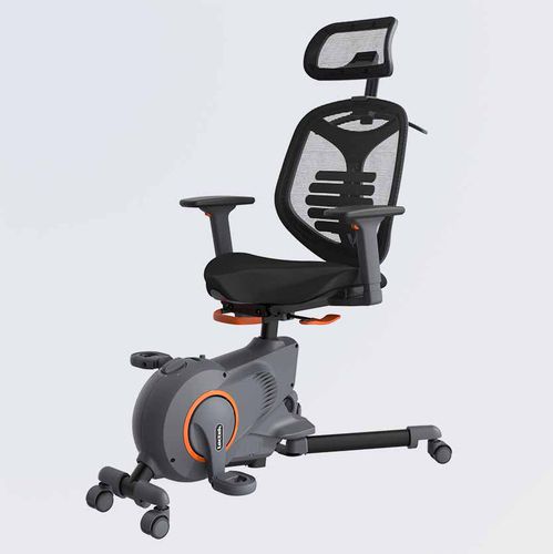 Велотренажер для интерьера - F216DBU - Loctek Ergonomic Technology Corp. - для профессионального использования / бытового применения