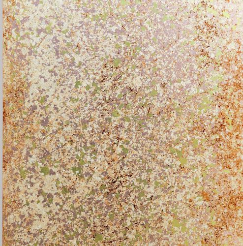 Декоративная панель для настила - Spring Granite - Duco - настенная / для внутренней компоновки / акриловая