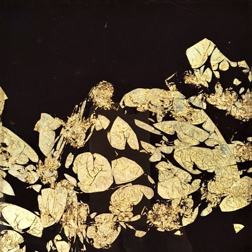 Акриловый Декоративная панель - FLOATING PETALS - Duco - для двери / настенный / для внутренней компоновки
