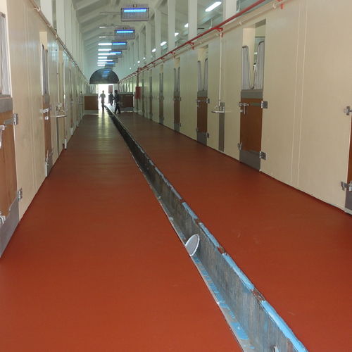 Штукатурка для сглаживания - POLYSPORT 1053 - KDF - Sports Flooring Production - гидроизолирующая / для отделки / для спортзала