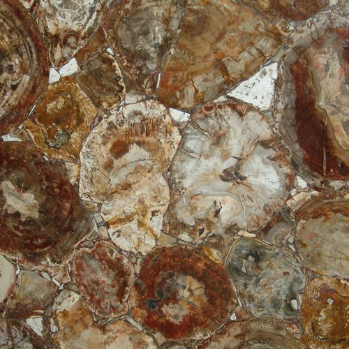 Плита из камня из полудрагоценного камня - FOSSIL WOOD  - GIOVANNOZZI MARMI S.R.L. - для ванной комнаты / полированная / имитация мрамора