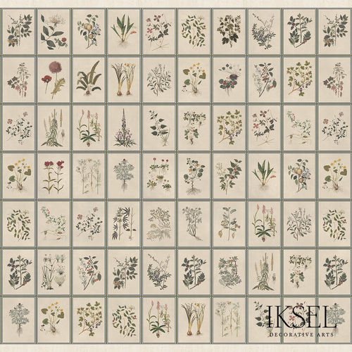 Современный обои - SC146 Renaissance Herbier Original - Iksel Decorative Arts - природный мотив / в цветочек / c геометрическим рисунком