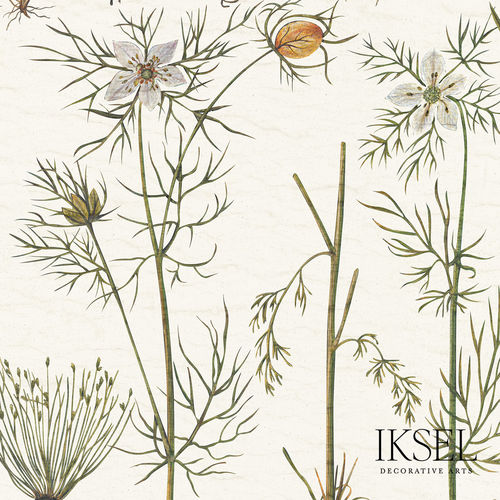 Современный обои - RW417 Herbier - Iksel Decorative Arts - из стекловолокна / виниловый / природный мотив