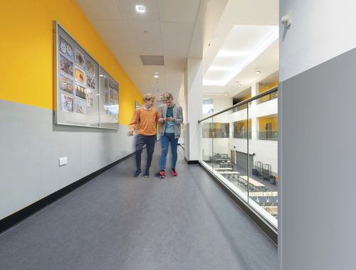 Защита стен из TPE - ACROVYN PVC-FREE - CS Construction Specialties - декоративная / листовая