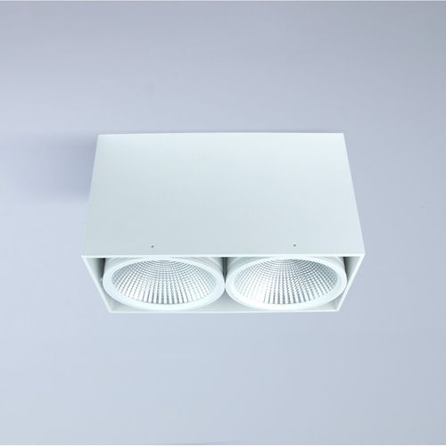 Выступающий даунлайт - RODES DUO - HB LUX LIGHTING - HB LUX TEKNOLOJI SAN VE TIC LTD - LED / круглый / IP20