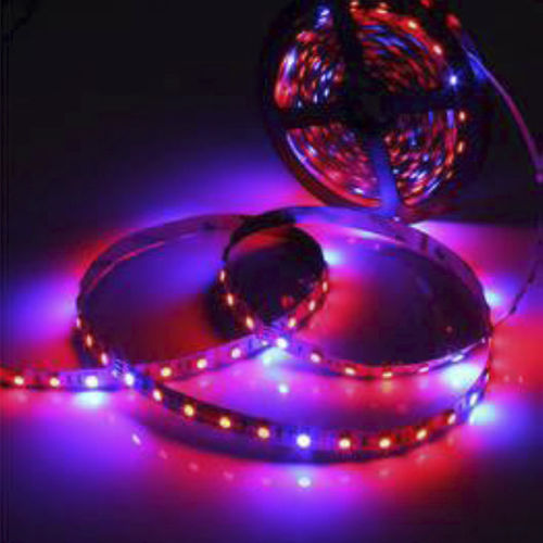 Светодиодная лента - KD-LGL - kindom opto-electronic co.,ltd