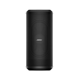 Сабвуфер активного типа - SUB2 - Bose Professional - для домашнего использования / для наружного применения / из дерева