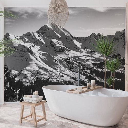 Обои фото - montagne les Aravis - MuralConcept - современный / из нетканых материалов / панорамный