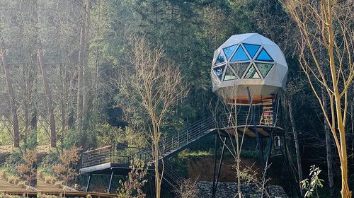 Сборный дом - DOME - NingBo DeepBlue Smarthouse Co.,LTD. - на дереве / современный / индивидуальный