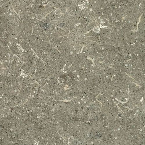 Плита из камня из мрамора - PIETRA DI VICENZA GRIGIA - Industria Marmi Ferrari Srl - для напольной поверхности / для внутренней компоновки / для ванной комнаты