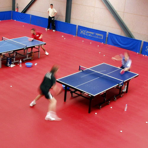 Спортивное покрытие для интерьера - TARAFLEX® TABLE TENNIS - Gerflor - Contract Sport & Contract Flooring - полиуретановое / из ПВХ / из стекловолокна