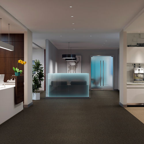 Тканое ковровое покрытие - GENUS & VOLNAY  - Gerflor - Contract Sport & Contract Flooring - тафтинговое / с разрезным ворсом / из полипропилена