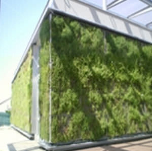 "зеленая стена" для наружного применения - SOPRANATURE® VIVAGREEN® - SOPREMA - с модульной конструкцией