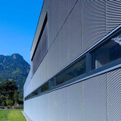 Панельная облицовка фасада - SURFACE DESIGN  - RHEINZINK - из цинка / титан / из перфорированного листа