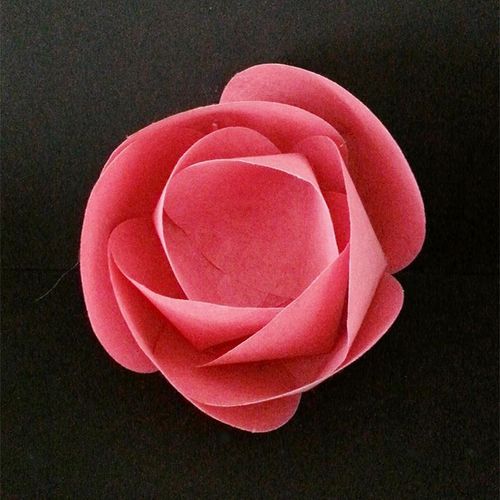 Скульптура из бумаги - ROSA - PROCÉDÉS CHÉNEL INTERNATIONAL - для общественных учреждений / белая / зеленая