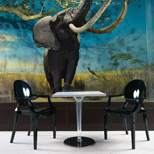 Современный обеденный стол - TOPTOP  - Kartell - из полиэстера / из стекла / с основанием из хромированной стали
