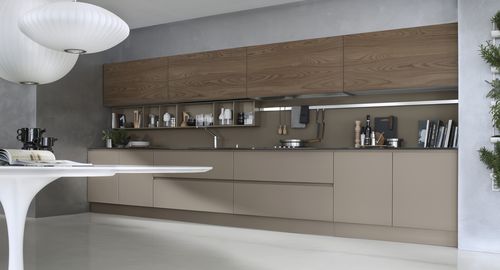 Современная кухня - SYSTEM COLLECTION - Pedini - из стекла / из фанерованной древесины / без ручки