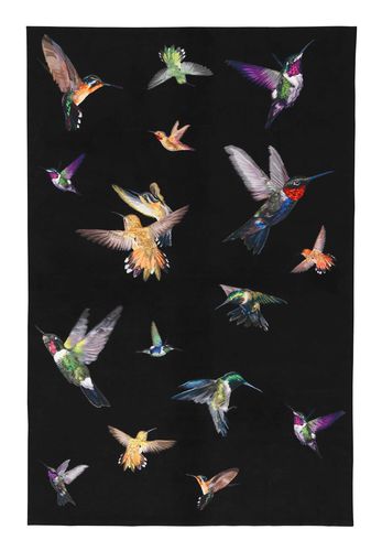 Современный ковер - HUMMINGBIRD - The Rug Company - с рисунком / из шелка / прямоугольный